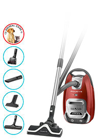 $249 for a Rowenta Silence Force Extreme Vacuum (a $519 Value